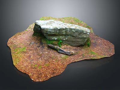 Natural Wood and Stone on Grass Ground with Fallen Leaves 3d model
