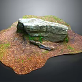Natural Wood and Stone on Grass Ground with Fallen Leaves