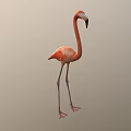 Full Body View Of Pink Flamingo Standing On Long Legs With Neutral Gray Background
