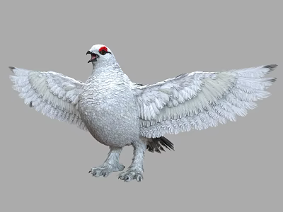 Realistic White Flying Animal With Red Eyes And Spread Wings 3d model