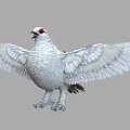 Realistic White Flying Animal With Red Eyes And Spread Wings