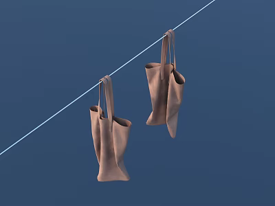 Two Brown Soft Bags Hanging On A String Against Blue Background 3d model