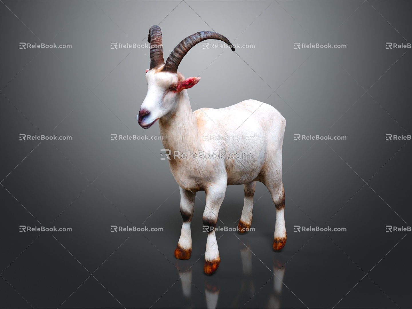 Modern Sheep Sheep Goat 3d model