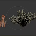 Realistic Organ Models And Natural Hair Samples On White Background