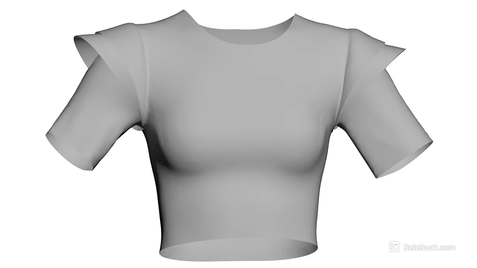 Fashionable Gray Fitted Cropped Top With Short Sleeves And Ruffle Shoulders 3d model 