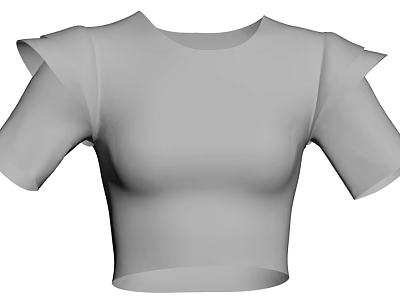 Fashionable Gray Fitted Cropped Top With Short Sleeves And Ruffle Shoulders 3d model
