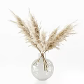 Natural Dried Flower Arrangements in Minimalist Ceramic Glass Vases with Pampas Grass and Eucalyptus