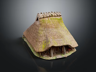Traditional Wooden House With Thatched Roof And Moss Covered Exterior Design 3d model