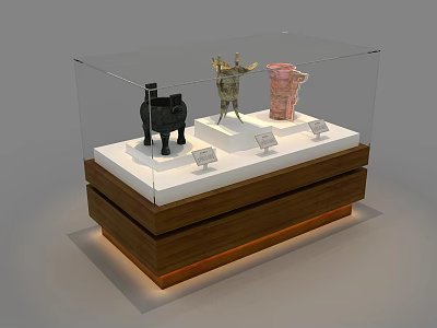 Transparent Glass Display Cabinet Shelf With Exhibits And Wooden Base Lighting 3d model