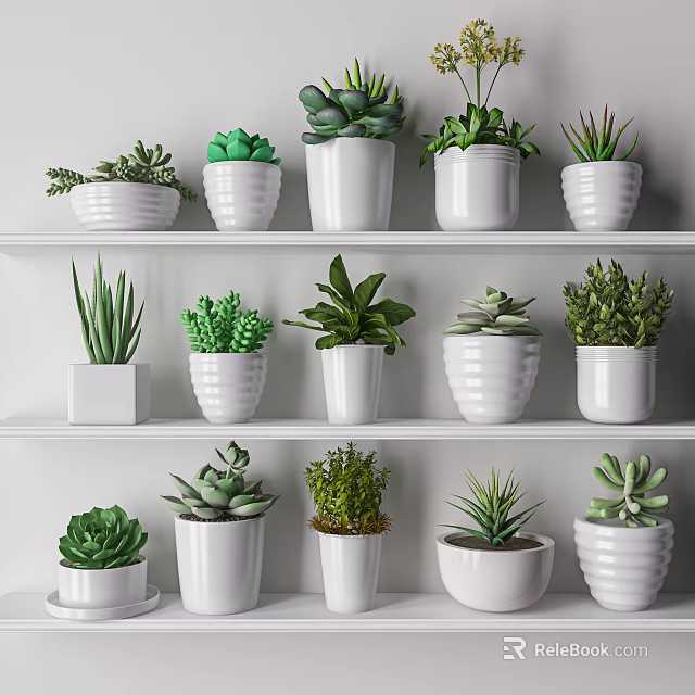 Indoor Potted Plants Arranged on White Shelves with Various Green Species in White Pots 3d model 