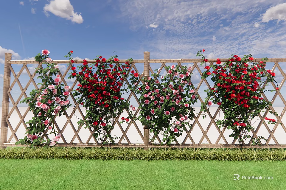 Climbing Red and Pink Roses on Wooden Fence with Blue Sky and Green Grass 3d model 