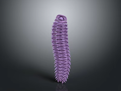 Detailed Purple Elongated Segmented Millipede Reptile On Gray Minimal Background 3d model