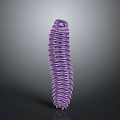Detailed Purple Elongated Segmented Millipede Reptile On Gray Minimal Background