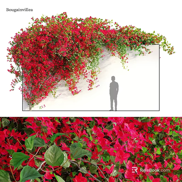 Decorative Ornament Set with Red Flowers Vines on White Wall and Silhouette Figure 3d model 