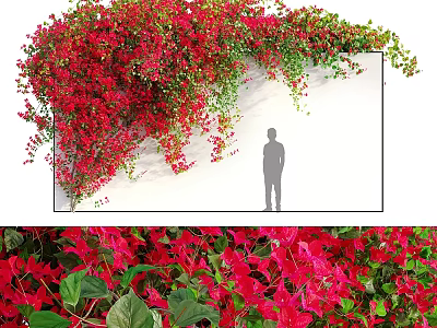Decorative Ornament Set with Red Flowers Vines on White Wall and Silhouette Figure 3d model