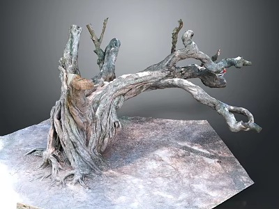 Natural Wooden Tree Root Sculpture With Detailed Texture And Stone Base 3d model