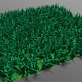Lush Green Grass With Dense Blades And Vibrant Carpet Texture