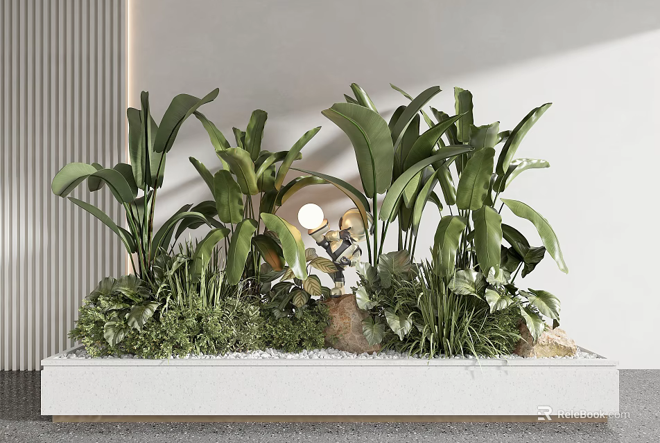 Lush Indoor Potted Plants With Green Wide Leaves And Decorative Stones In White Planter 3d model 