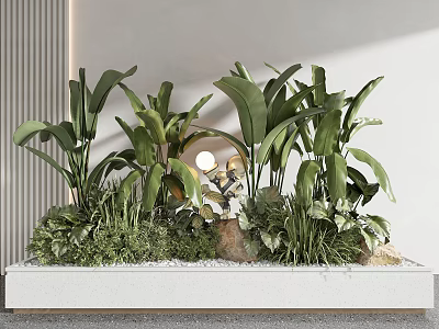 Lush Indoor Potted Plants With Green Wide Leaves And Decorative Stones In White Planter 3d model