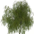 Decorative Plant Ornament Set With Weeping Willow And Green Leaf Decor For Home