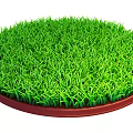 Lush Green Grass With Circular Shape And Brown Edge Base Design 3d model