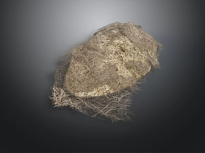 Rough Bird Nest Structure Composed of Fine Twigs and Irregular Shape on Dark Background 3d model
