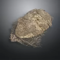 Rough Bird Nest Structure Composed of Fine Twigs and Irregular Shape on Dark Background
