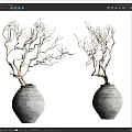 Natural Bonsai Plants With Bare Branches In Textured Clay Pots