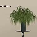 Poliform Dark Green Vase With Tall Green Hanging Plant On Pedestal Table