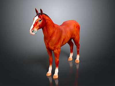 Red Horse with White Face and Legs Standing on Dark Background 3d model