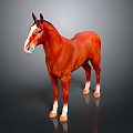 Red Horse with White Face and Legs Standing on Dark Background