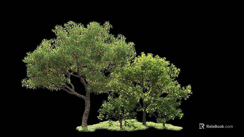 Green Leafy Arbor Trees With Lush Foliage On Black Background And Grass 3d model 