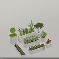 Various Bonsai Potted Plants With Different Foliage And Flowers In White Square And Rectangular Containers 3d model