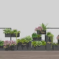 Multiple Black Flower Planters with Logo Featuring Various Green Plants and Pink Flowers