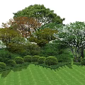 Lush Green Lawn With Diverse Trees Having Green And Orange Foliage And Neatly Trimmed Shrubs