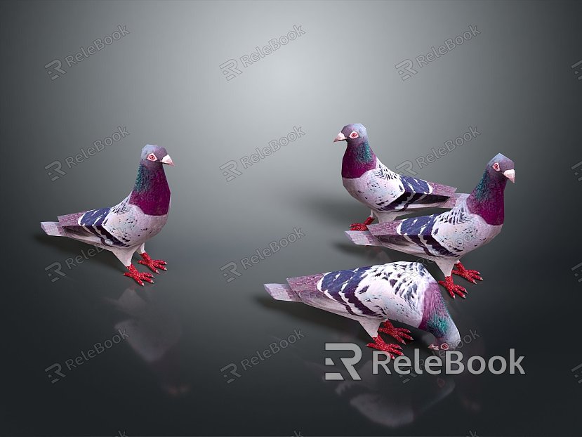 Pigeon Edible Pigeon Play Pigeon Racing Pigeon Military Pigeon Experimental Pigeon Wild Pigeon Rock Pigeon Raw Pigeon model