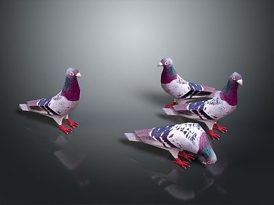 Pigeon Edible Pigeon Play Pigeon Racing Pigeon Military Pigeon Experimental Pigeon Wild Pigeon Rock Pigeon Raw Pigeon model