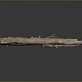 Dried Plant Branches with Natural Texture for Home Decor on Smooth Dark Surface