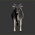 Gray And White Cow With Horns Standing On Reflective Surface 3d model