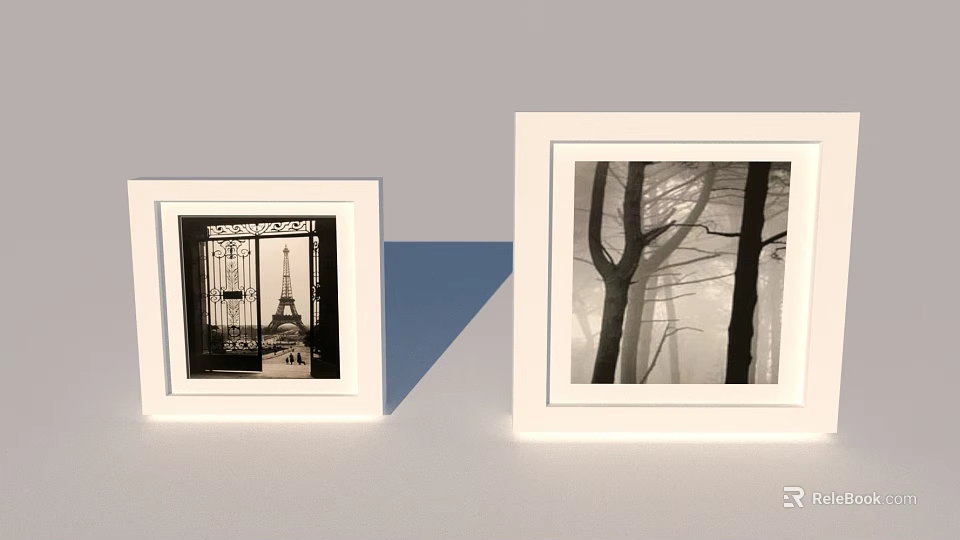 White Photo Frames with Black and White Eiffel Tower and Forest Tree Prints 3d model