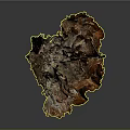 Textured Organic Organ Structure With Hair Like Fibers And Brown Gray Tones