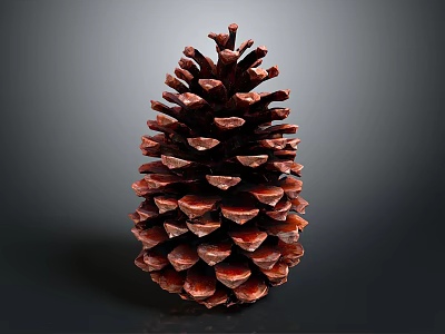 Brown Pine Cone with Natural Texture and Detailed Structure Isolated on Dark Background 3d model