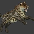 The Modern Tiger 3d model