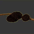 Rustic Wooden Branch Adorned With Brown Pine Cones For Home Decoration
