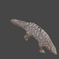Realistic Pangolin 3D Model With Detailed Scaled Body And Armor Texture 3d model
