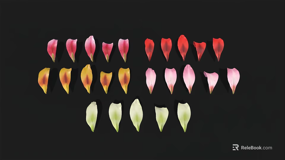 Colorful Flower Petals in Various Shades Arranged Neatly on Black Background 3d model 