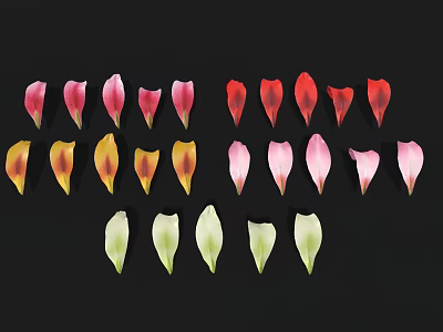 Colorful Flower Petals in Various Shades Arranged Neatly on Black Background 3d model