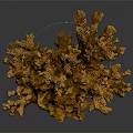 Vibrant Yellow Coral Polyps Marine Animal With Branched Textured Structure On Dark Background