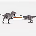 Two Realistic Dinosaur Models Facing Each Other On White Background 3d model