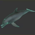 Realistic 3D Rendered Dolphin In Swimming Pose With Open Mouth And Smooth Skin